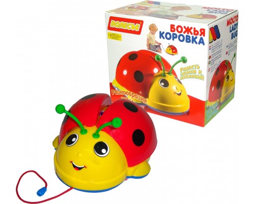 Божья коровка (в коробке)